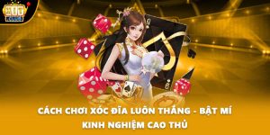 Cách Chơi Xóc Đĩa Luôn Thắng - Bật Mí Kinh Nghiệm Cao Thủ